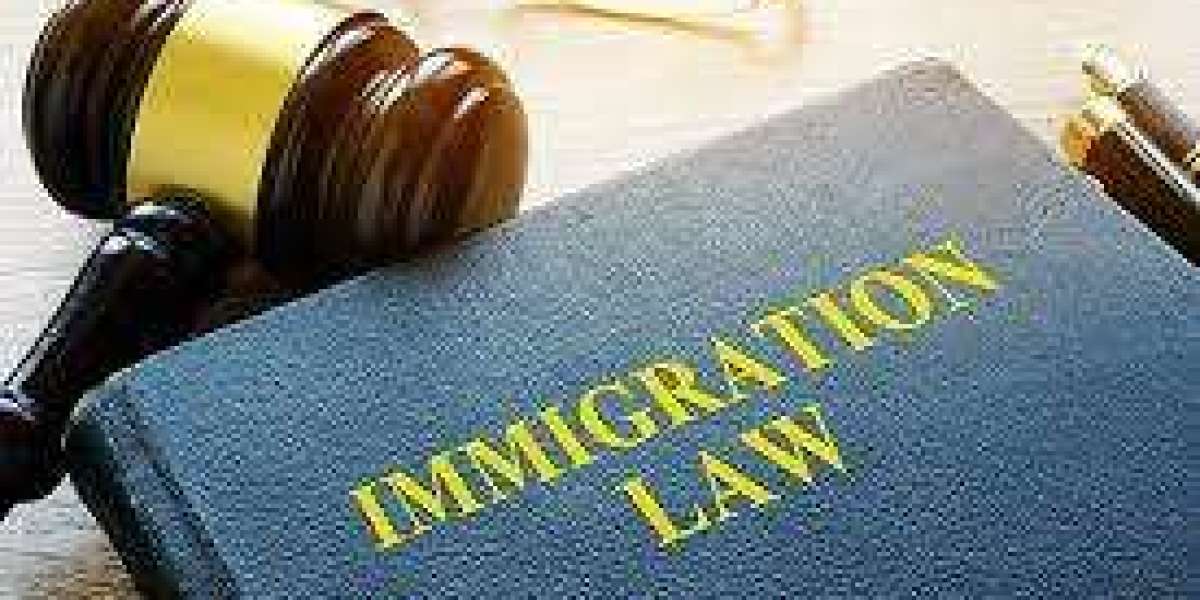 Top 5 Immigration Myths Debunked by a Palm Beach Attorney