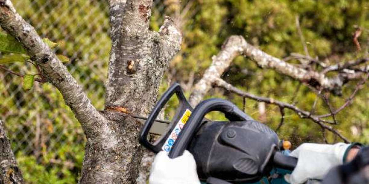 Fast & Affordable Tree Cutting – Satisfaction Guaranteed