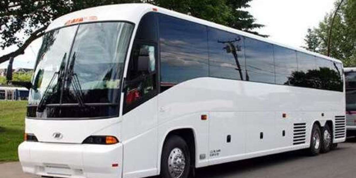 Party Bus vs. Limo: Which is Best for Your Maryland Event?