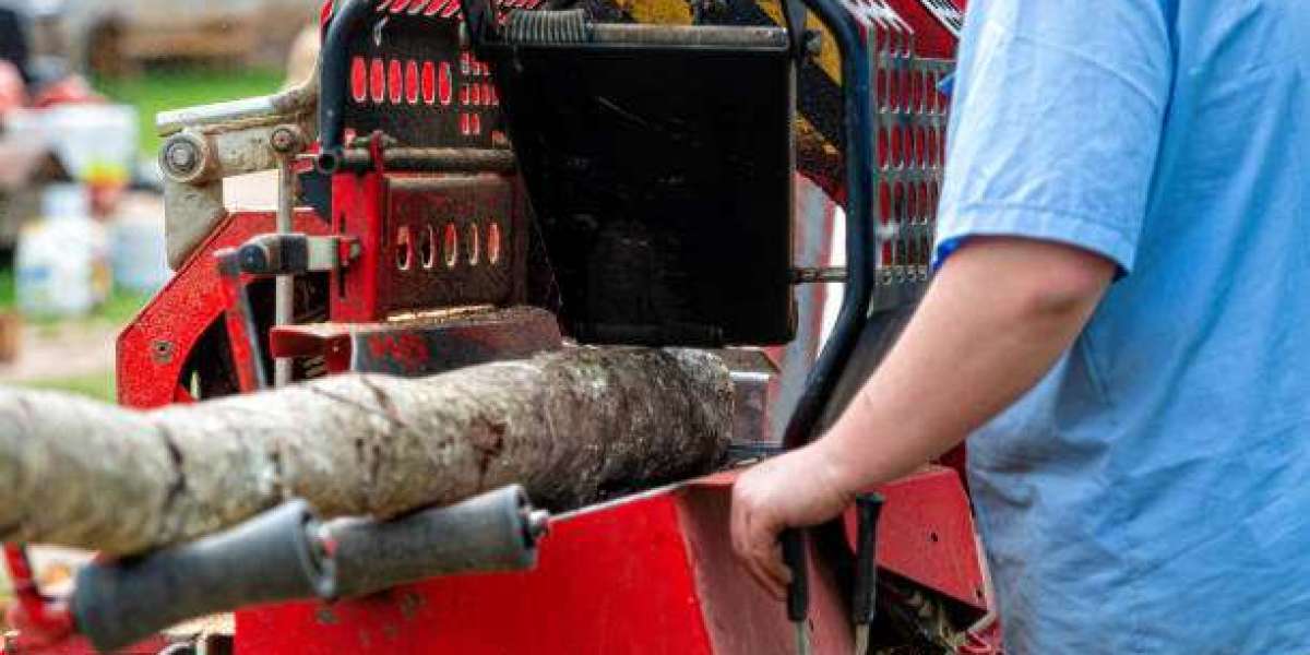 Hire the Best Stump Grinding Service – Affordable & Hassle-Free