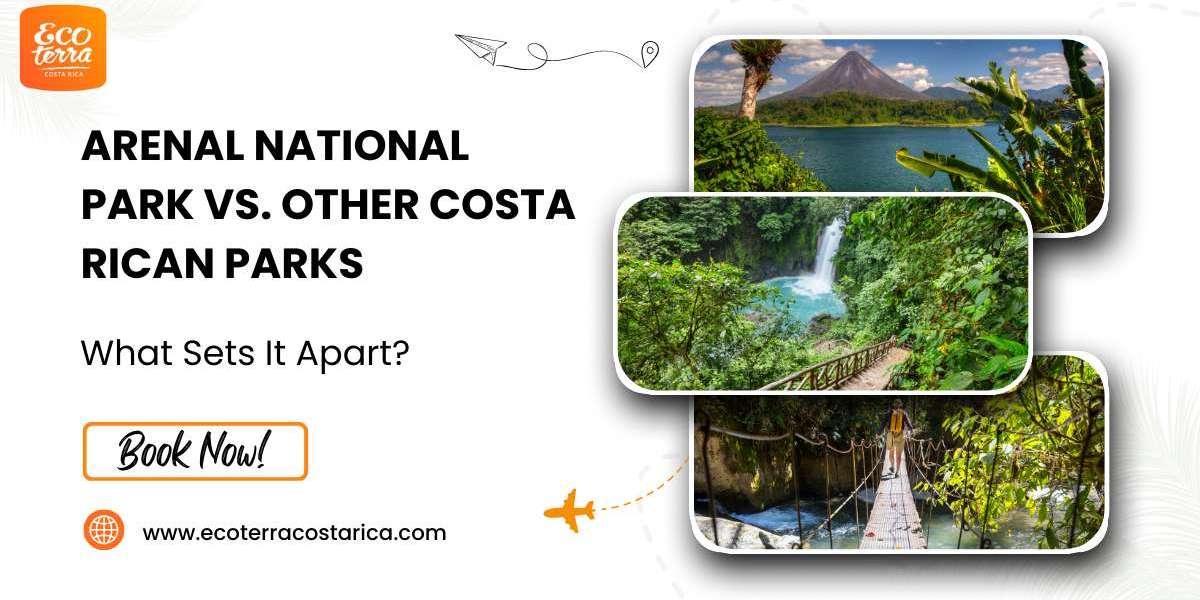 Arenal National Park vs. Other Costa Rican Parks: What Makes It Special?