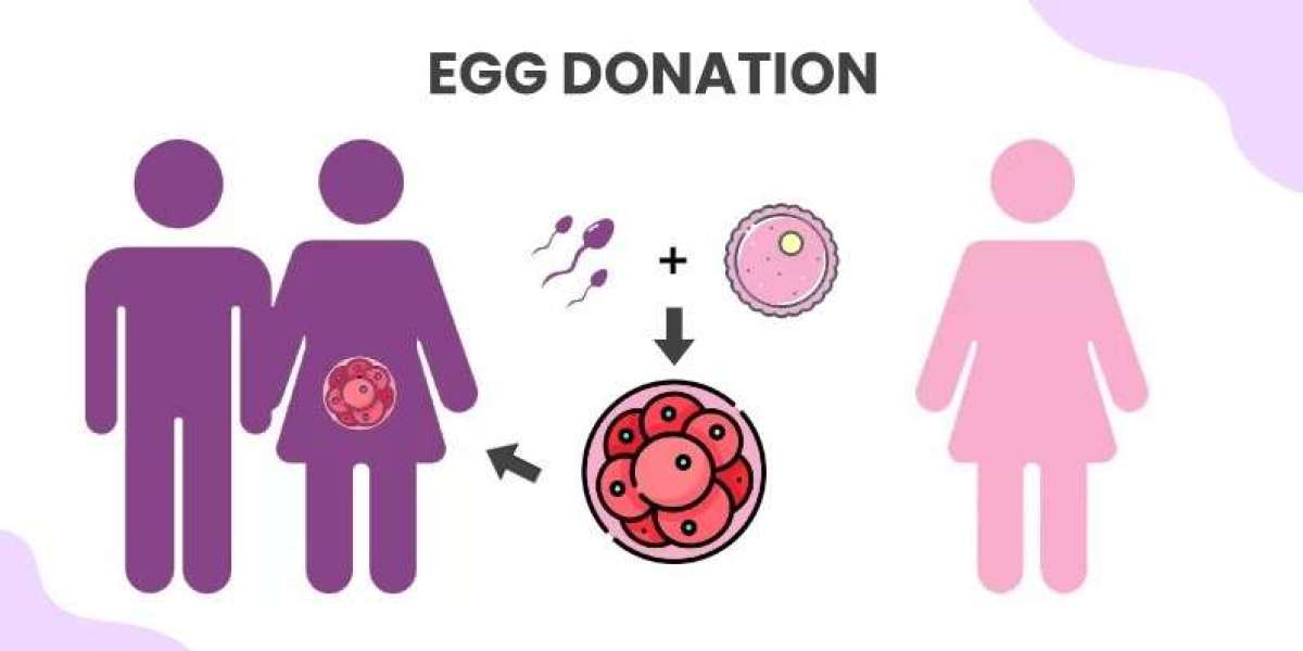 Epigenetics and Egg Donation: Will the Baby Look Like Me?