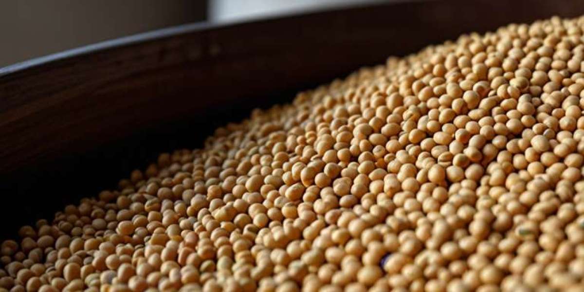 Soya Bean Processing Plant Project Report 2025: Machinery, Raw Materials and Investment Opportunities