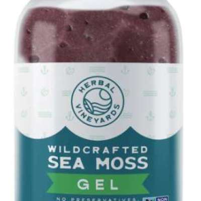 Revitalize Your Health with Herbal Vineyards' Exclusive Purple Sea Moss Gel! Profile Picture