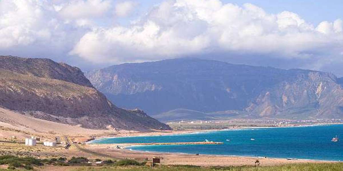 Socotra Trips – Explore the Hidden Gem with Socotra Pioneer Tours