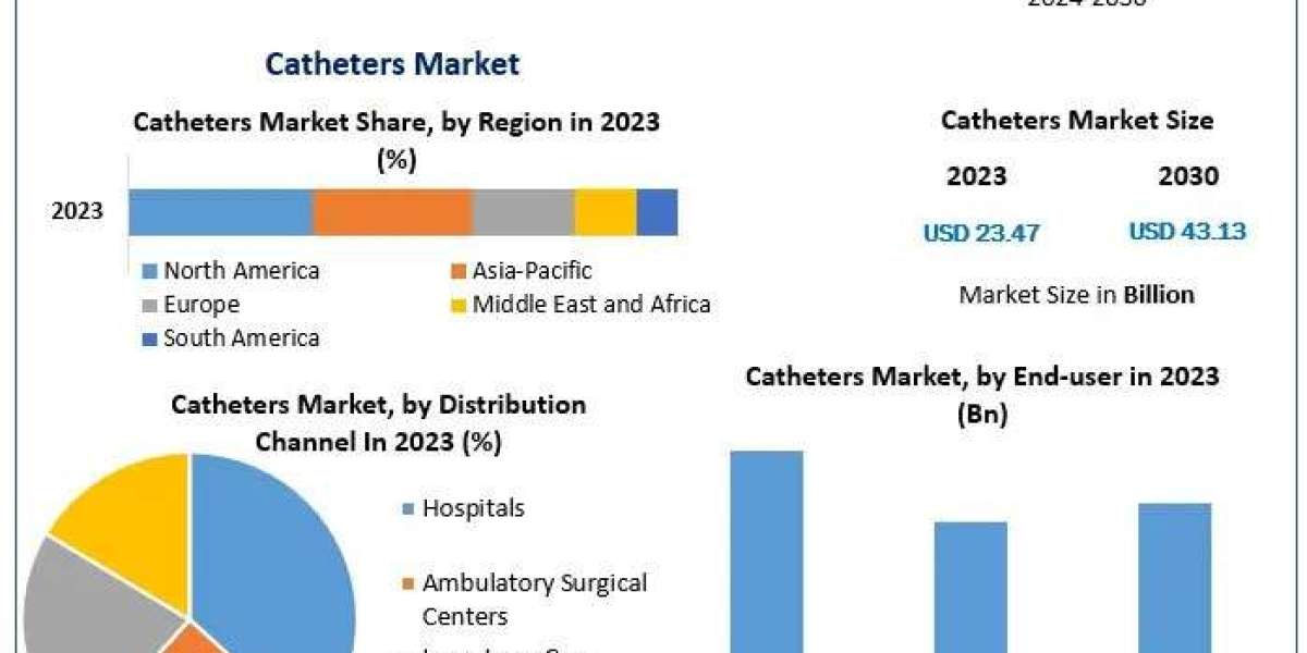 Catheters Market Share, Forecasts Analysis and Growth Strategies