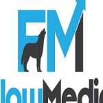 flowmedia838