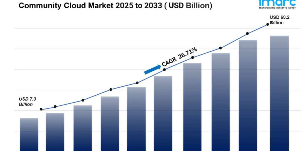 Community Cloud Market Size, Share and Growth 2025-2033